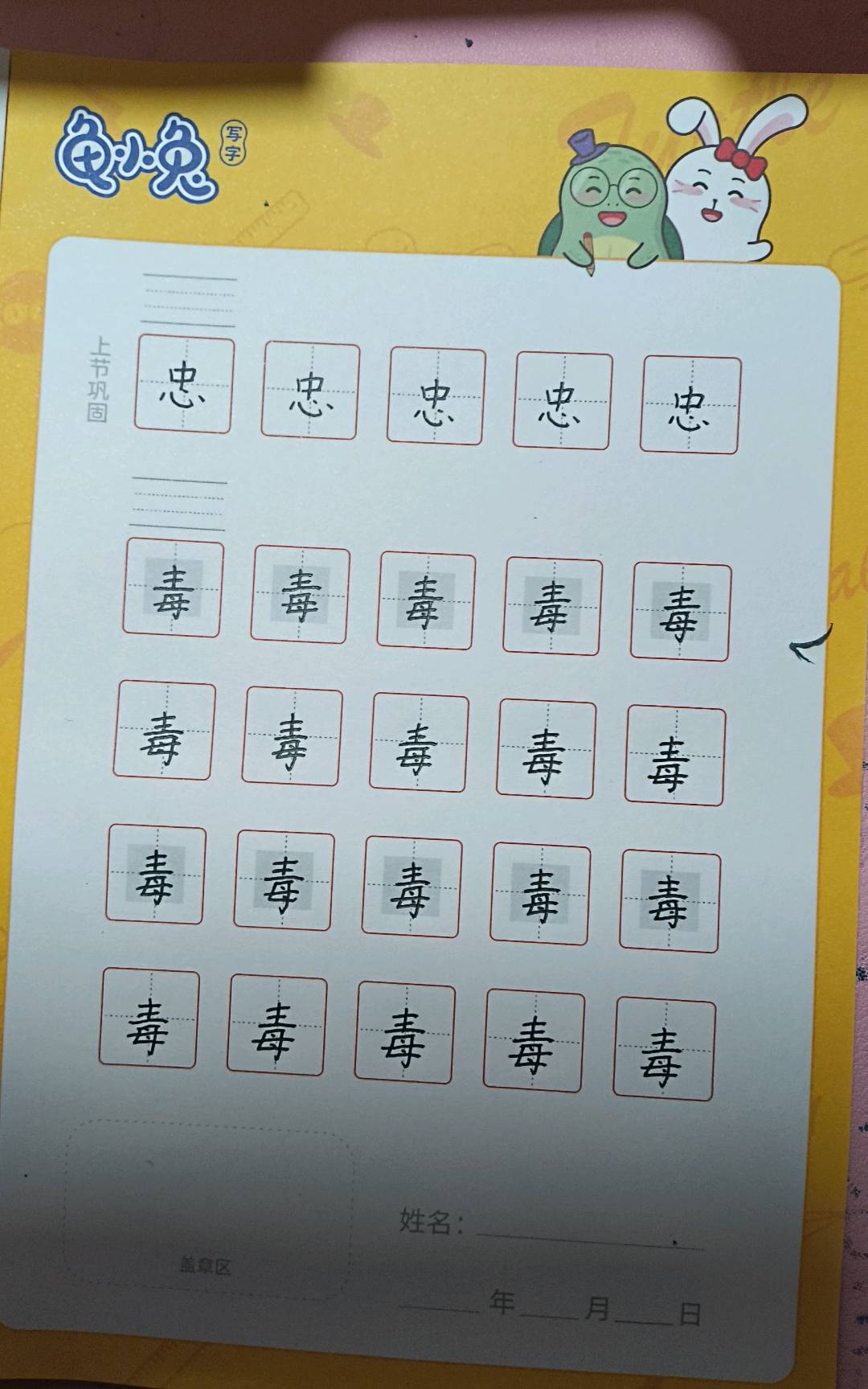 龟小兔写字优秀作品展示：薛圣依/四年级/练字1天