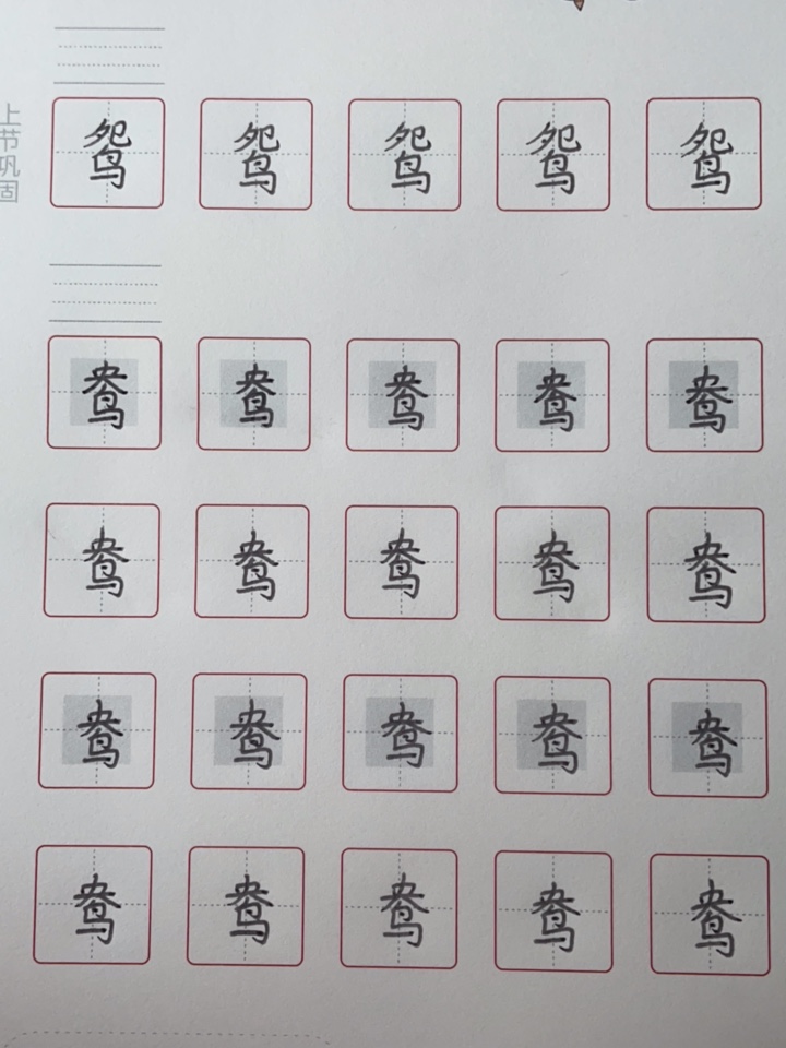 龟小兔写字优秀作品展示：蔡玟熙/四年级/练字1天